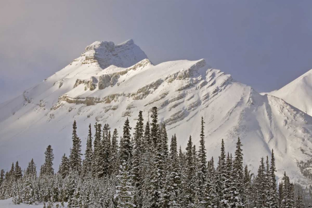Canada, Alberta, Banff NP Summit of Nigel Peak art print by Don Grall for $57.95 CAD